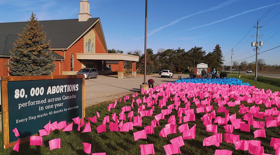 Flag Display for Aborted Fetuses